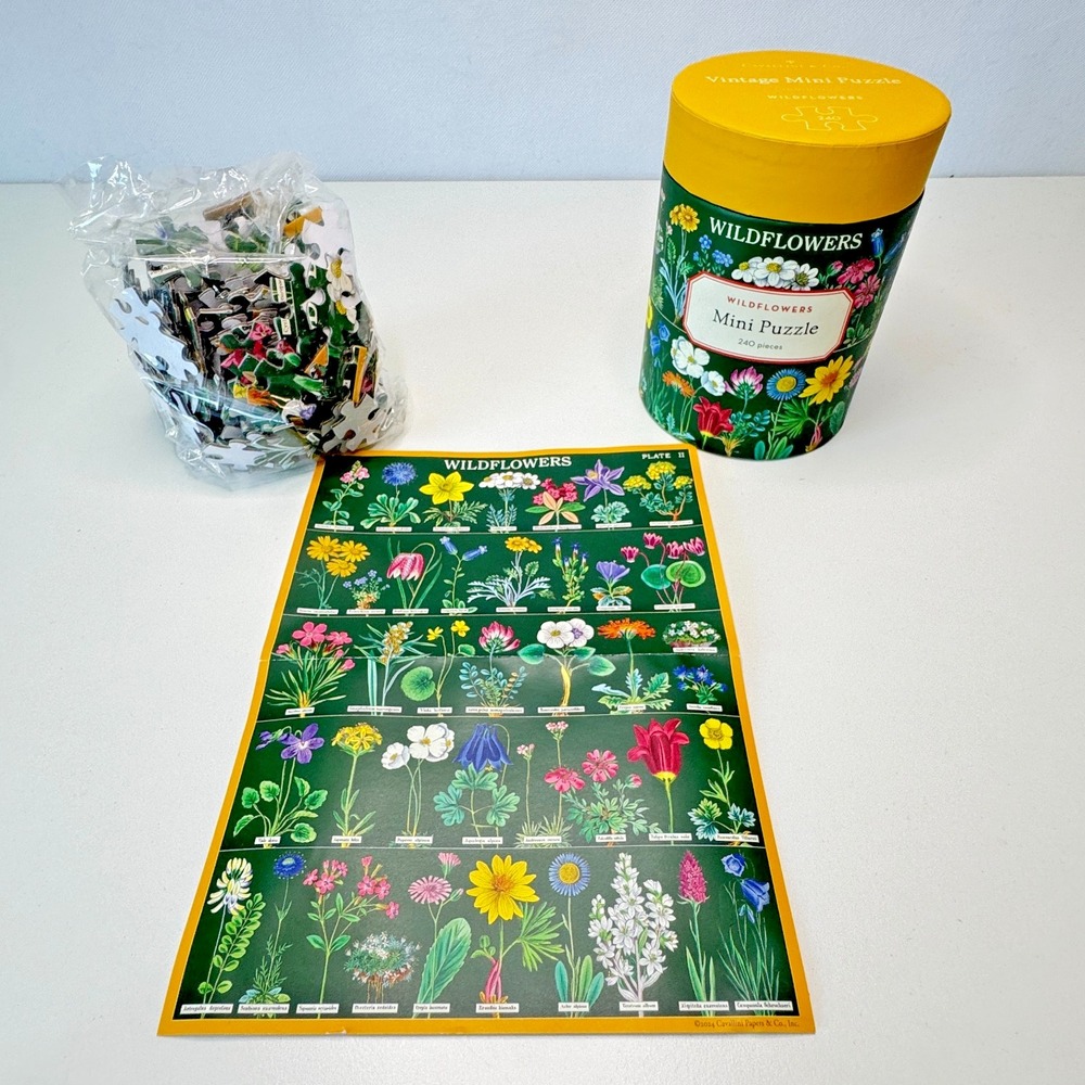 CAVALLINI & Co. Wildflowers 240 Piece Mini Puzzle NEW 10.5" x 14"